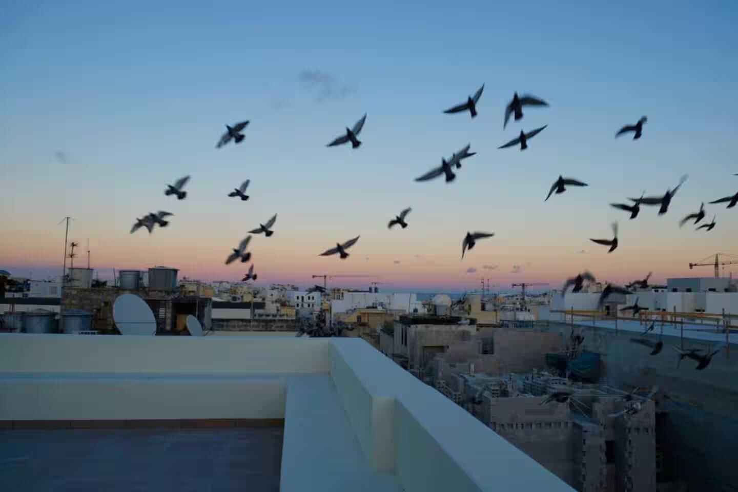 Penthouse, City View