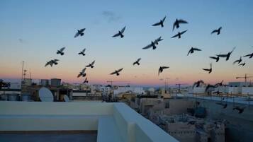 Penthouse, City View