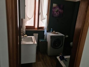 Assecador de cabells, tovalloles, sabó i paper higiènic 