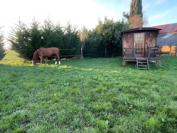 Imagen sin descripción, 1 de 13, botón