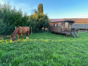 Unclassified image, 4 of 13, button - Charming Traditional Caravan with Private Garden in a Horse Boarding Farm (Cruzilles-lès-Mépillat)