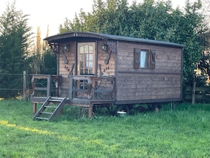 Immagine non classificata, 5 di 13, pulsante