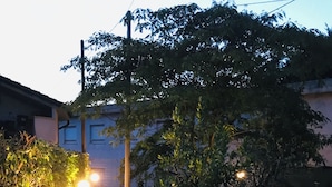 Uma área residencial com um caminho pavimentado que leva a uma casa. Há árvores e arbustos ao longo do caminho, e postes de luz são visíveis.