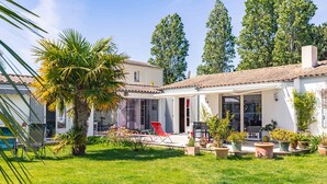 Una casa con un patio, una palmera y plantas en macetas.
