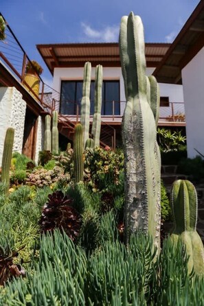 Exterior detail - Native Residence Casa 4 (Playas de Rosarito)