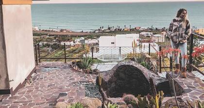 Native Residence Casa 4