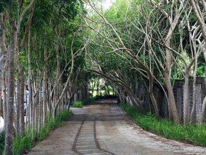 Photo non classée, 2 sur 29, bouton