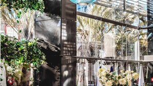 Una moderna zona de recepción con pared de vidrio, plantas en macetas y mostrador de recepción.