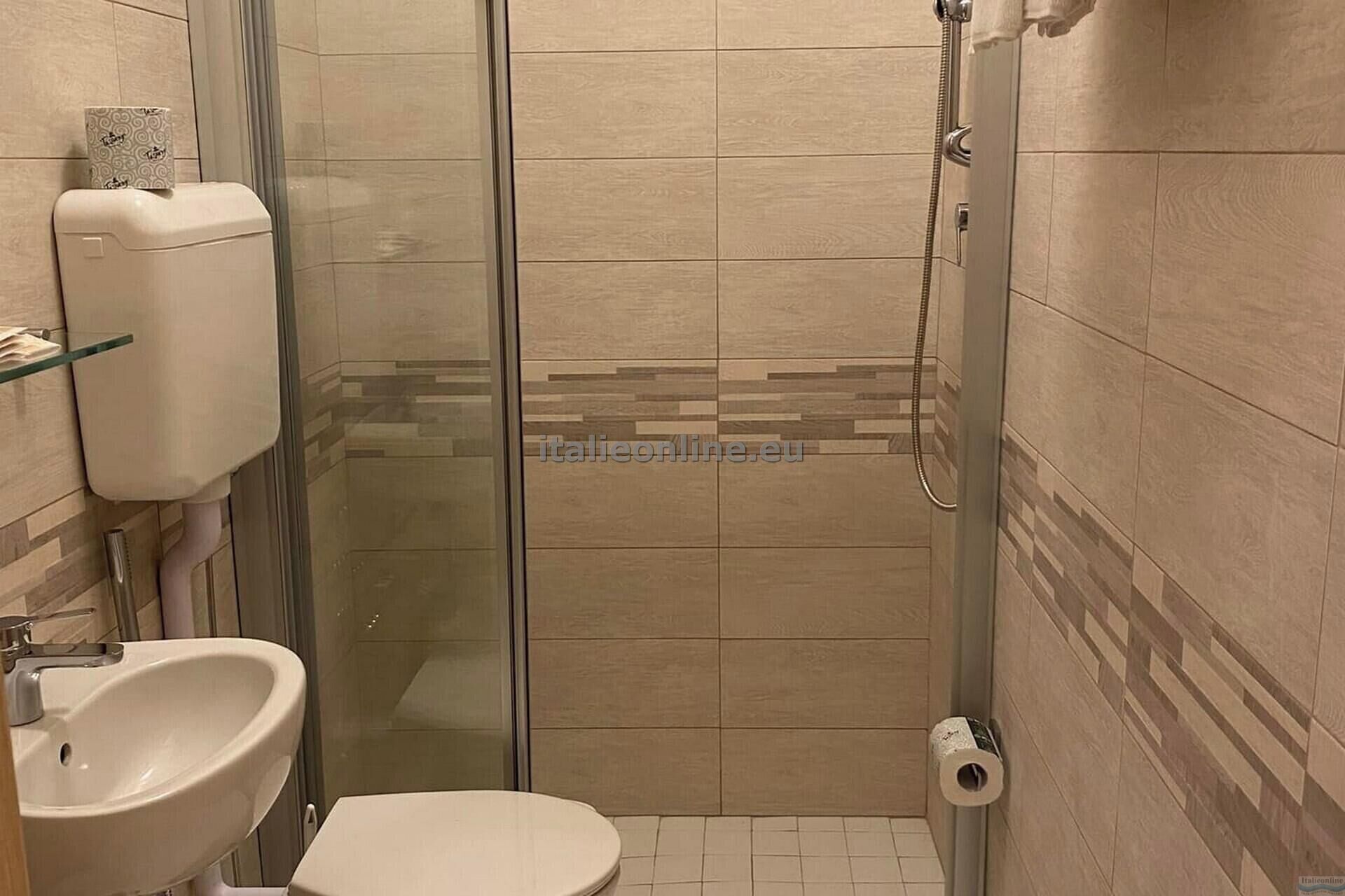 Une salle de bain avec une douche à parois de verre, des toilettes et un lavabo.