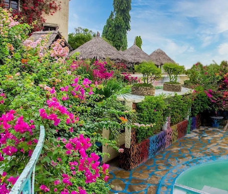 A pool area with a stone pathway, surrounded by vibrant pink bougainvillea and other greenery.