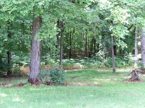 Photo non classée, 4 sur 32, bouton