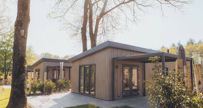 Enjoy a luxury holiday home for 2 in the Veluwe, featuring modern amenities, air conditioning, and a stylish pergola.