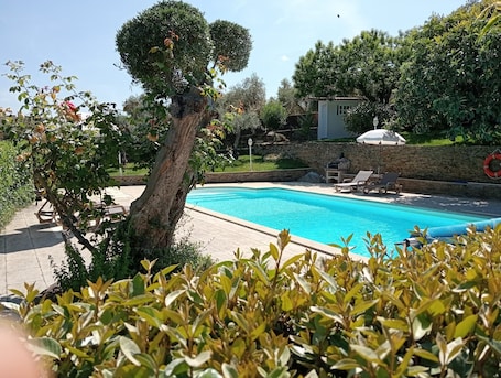 プール. Villa Fernandes Recantotransmontano: Mountain View, Wi-Fi & Air Conditioning