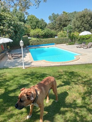 Niet-geclassificeerde afbeelding, 4 van 27, knop