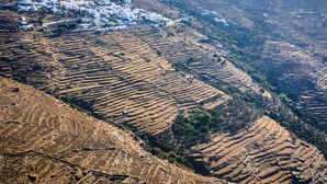 Campos agrícolas en terrazas con un pequeño pueblo en el valle.