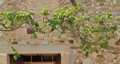 La Parra 1 at Mas Pareta: Rural Apartment with Pool and Farm near Costa Brava
