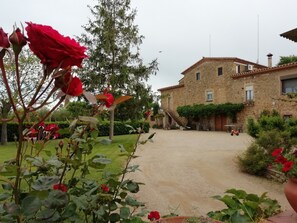 Niet-geclassificeerde afbeelding, 4 van 16, knop