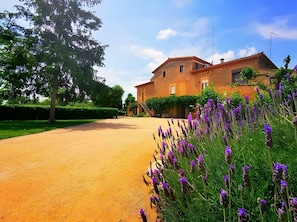 Niet-geclassificeerde afbeelding, 3 van 16, knop