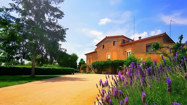 Edifici rústic amb un camí de terra, envoltat de verdura exuberant i flors morades.