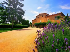 Un bâtiment rustique, avec une allée en terre battue, entouré d’une végétation luxuriante et de fleurs violettes.