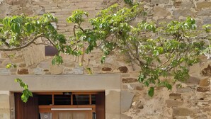 Edifici de pedra amb una porta de fusta i una petita planta en test.