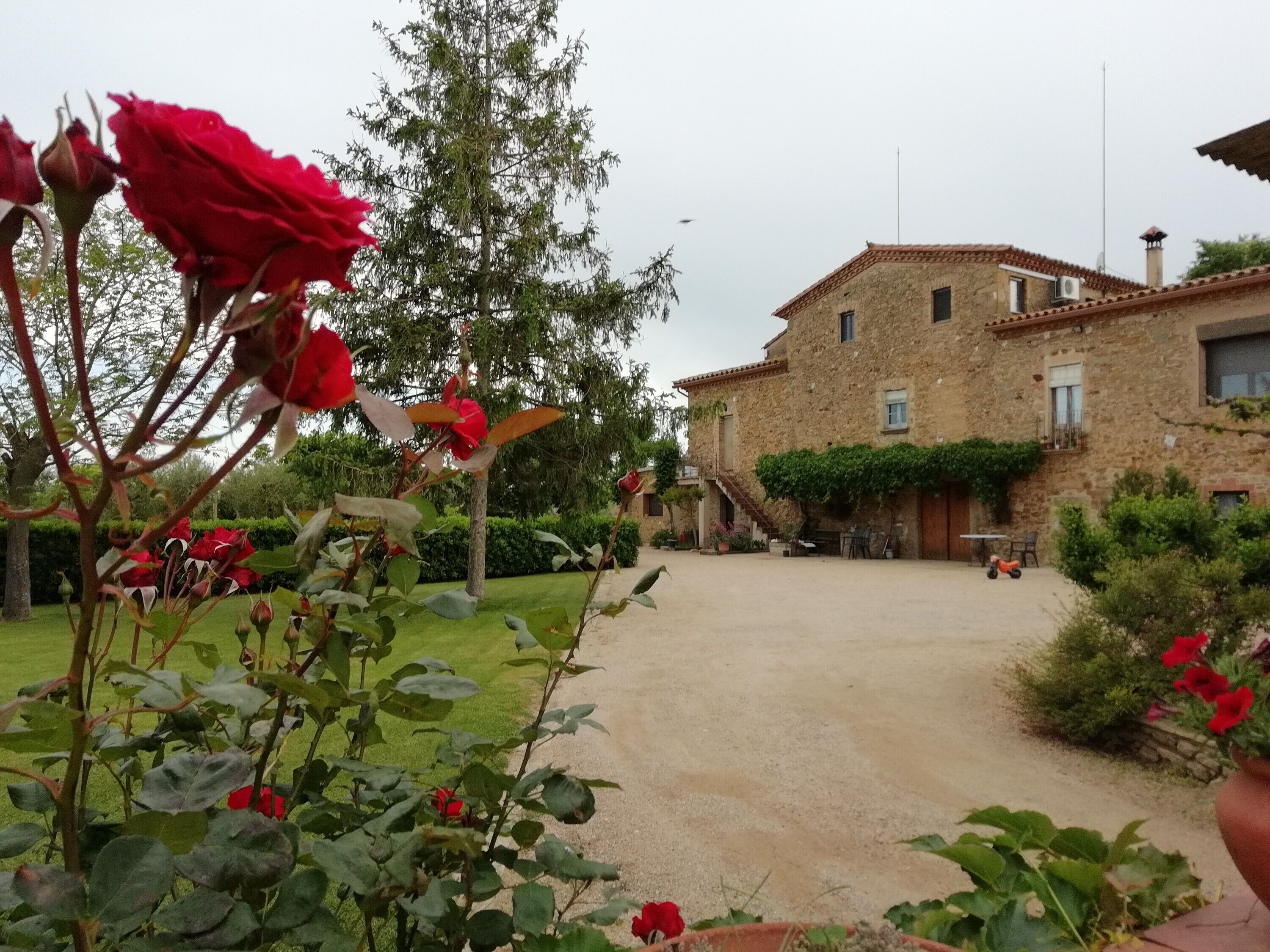 Terrein van de accommodatie