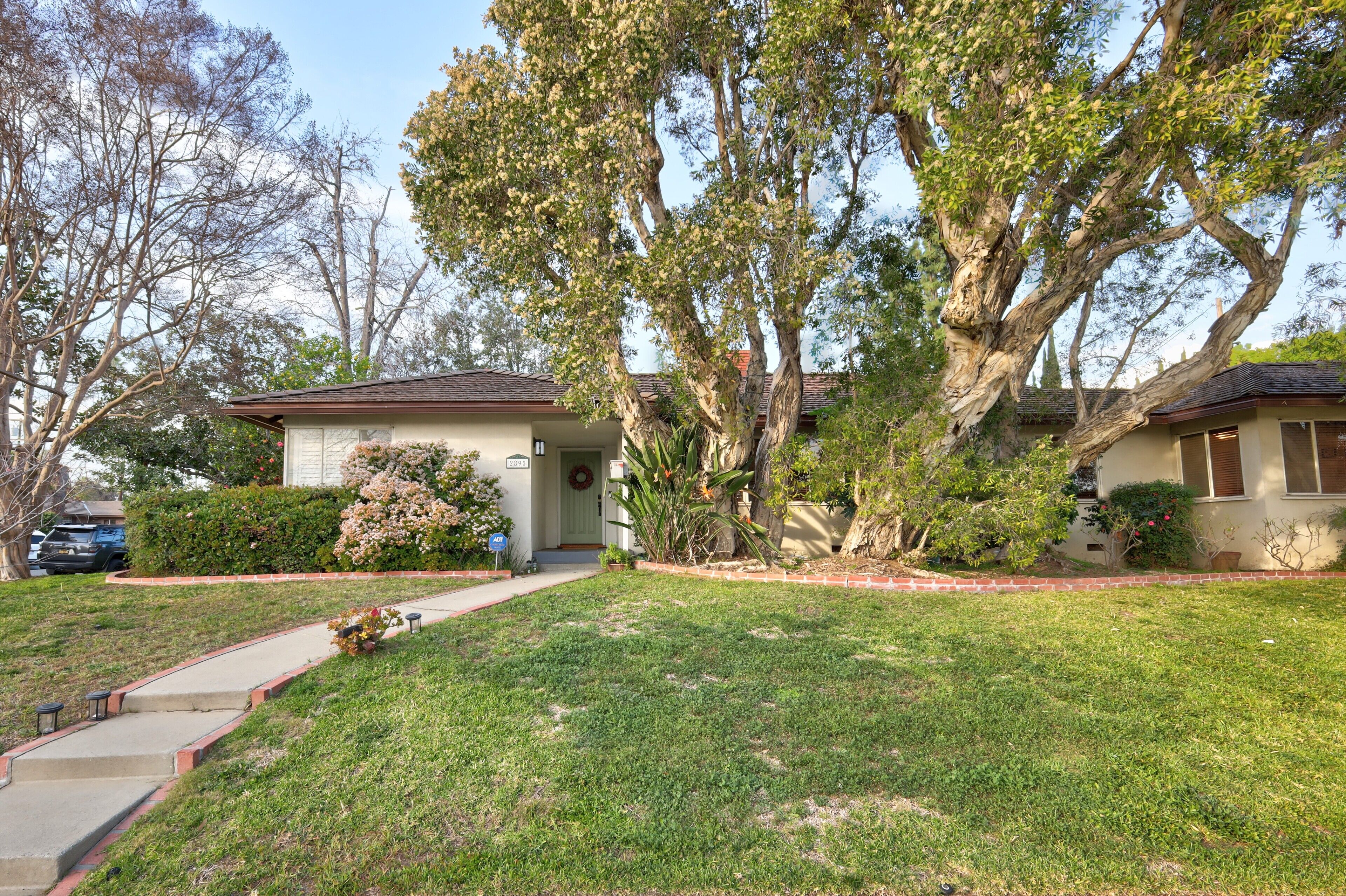 A residential house with a front yard, a driveway, and a large tree.