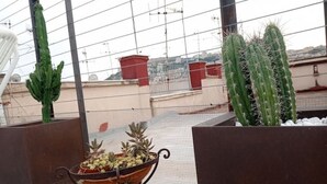 A rooftop garden with cacti and a potted plant arrangement. - Apartment with panoramic terrace in historic center (Napoli)