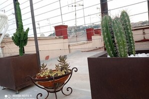 A rooftop garden with cacti and a potted plant arrangement. - Apartment with panoramic terrace in historic center (Napoli)