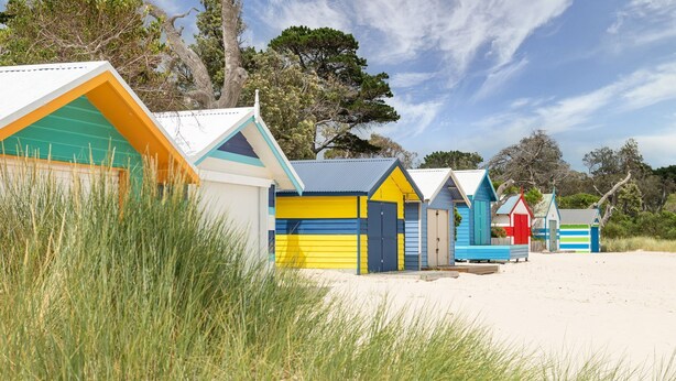 A row of colorful beach huts with a sandy beach and trees in the background. - Beachfront Gem in Capel Sound (Capel Sound)