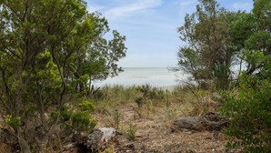 A natural landscape with trees and a beach. - Beachfront Gem in Capel Sound (Capel Sound)