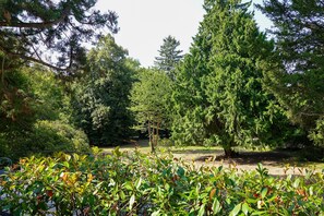 Unclassified image, 2 of 29, button - Characterful Bourgeois House with One-Hectare Park (Tarare)