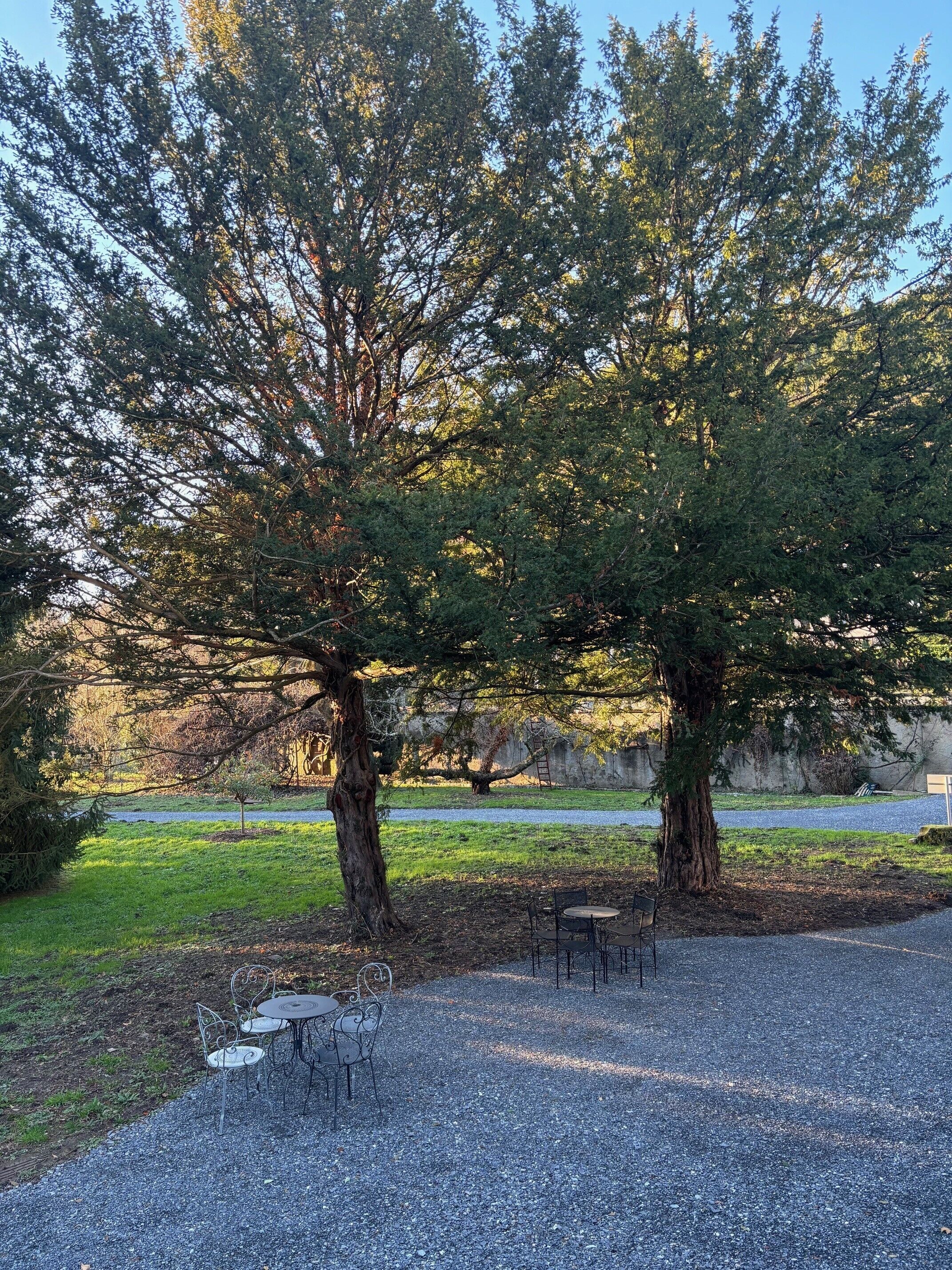 A gravel area with metal tables and chairs, surrounded by trees and a grassy field.