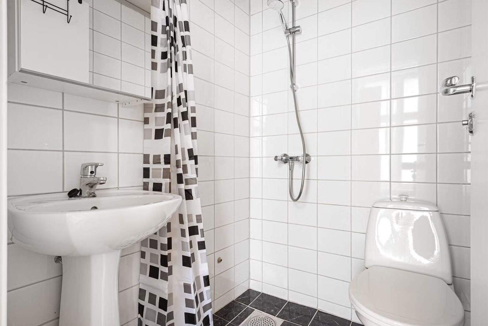 Shower, hair dryer, shampoo