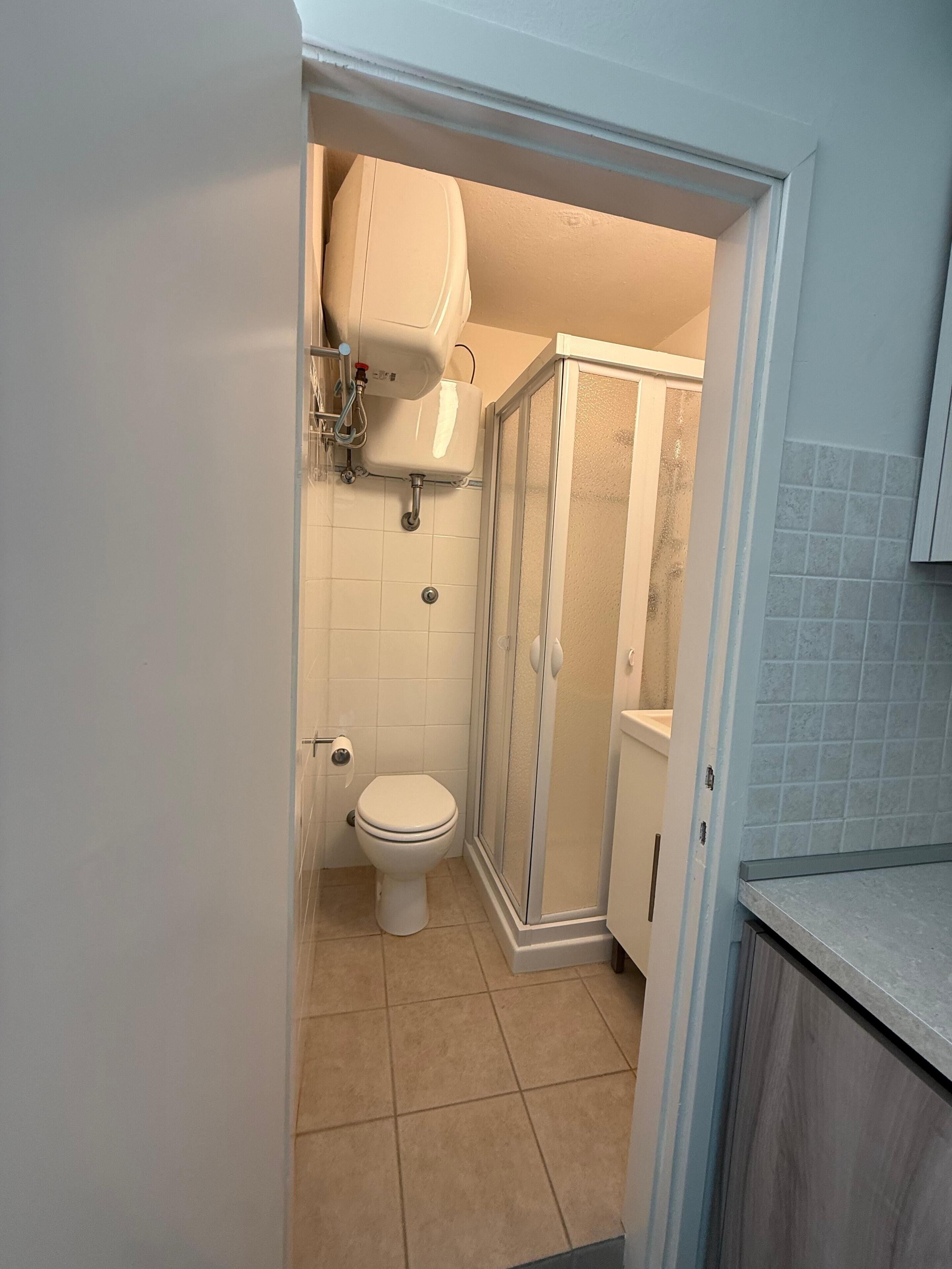 A bathroom with a toilet, a shower enclosure, and a toilet paper holder.