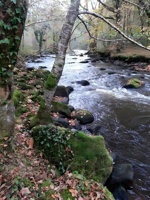Botón de imagen sin clasificar, 5 de 20