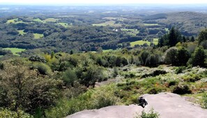 Botón de imagen sin clasificar, 4 de 20