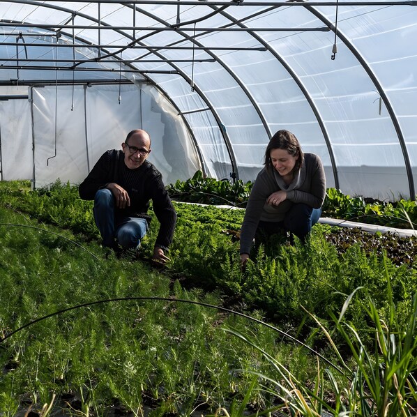 Unclassified image, 1 of 20, button - Bed and Breakfast 'Du Rez De Chaussée' with Private Terrace, Shared Garden and Wi-Fi (Bersac-sur-Rivalier)