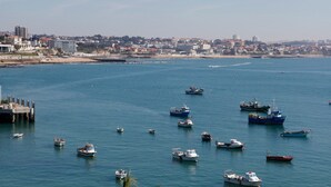 A coastal cityscape with a marina filled with various boats. - Apartment 'Cascais Bay Terrace V' with Sea View, Wi-Fi and Air Conditioning (Cascais)