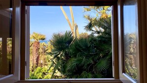 Une fenêtre donnant sur un jardin agrémenté de palmiers et d’autres plantes.