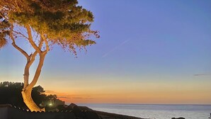 Un chemin pavé, agrémenté d’un banc et d’un arbre, qui offre une vue sur une étendue d’eau.