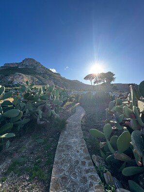Ein Steinweg führt durch einen Kakteengarten, im Hintergrund ist eine Berglandschaft zu sehen.