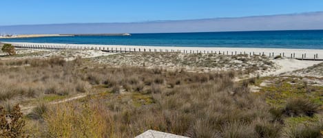 Una spiaggia nelle vicinanze, teli da spiaggia