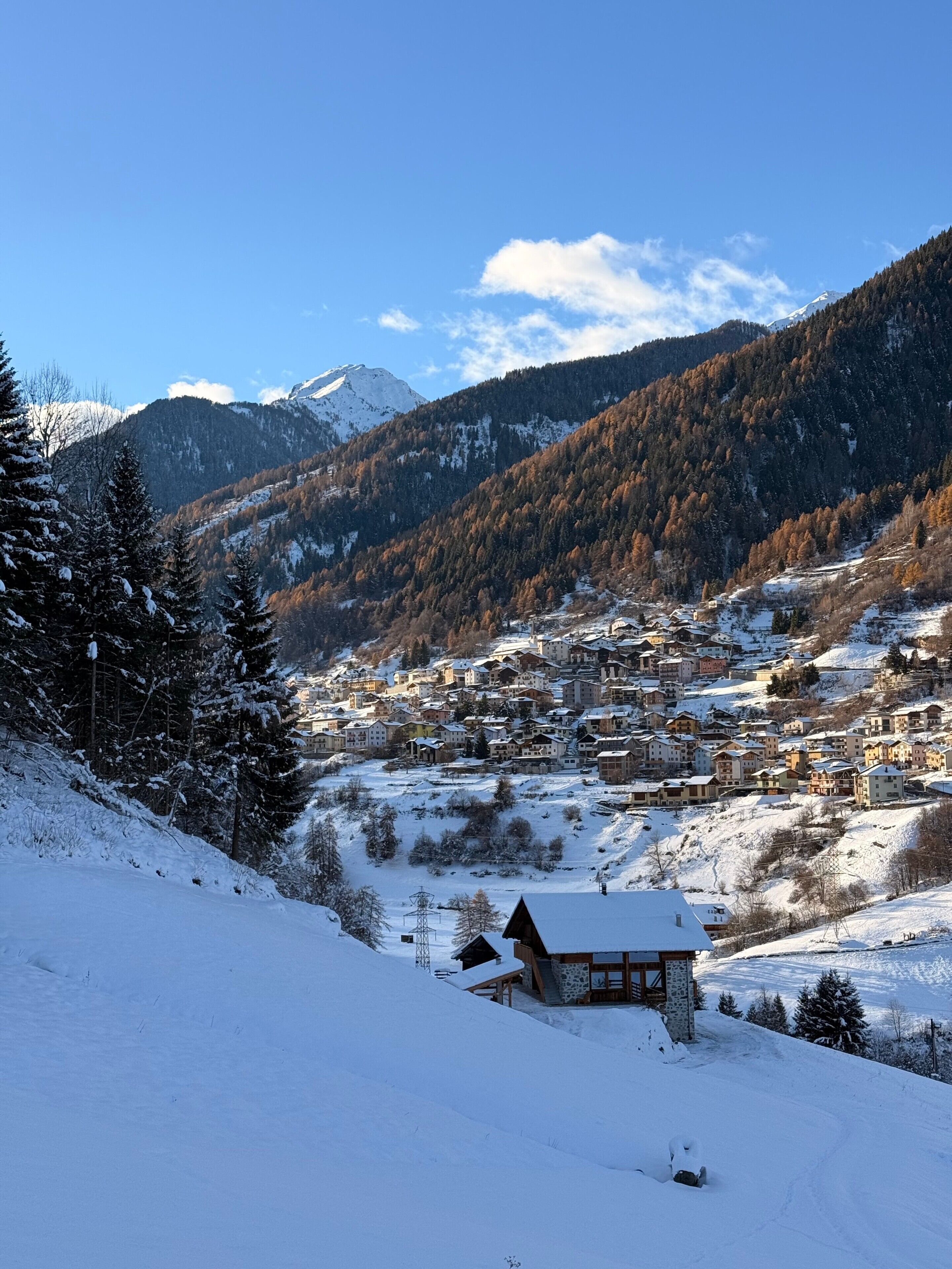 A snow-covered mountain village with traditional wooden houses, a clear sky, and a snow-capped mountain in the background.