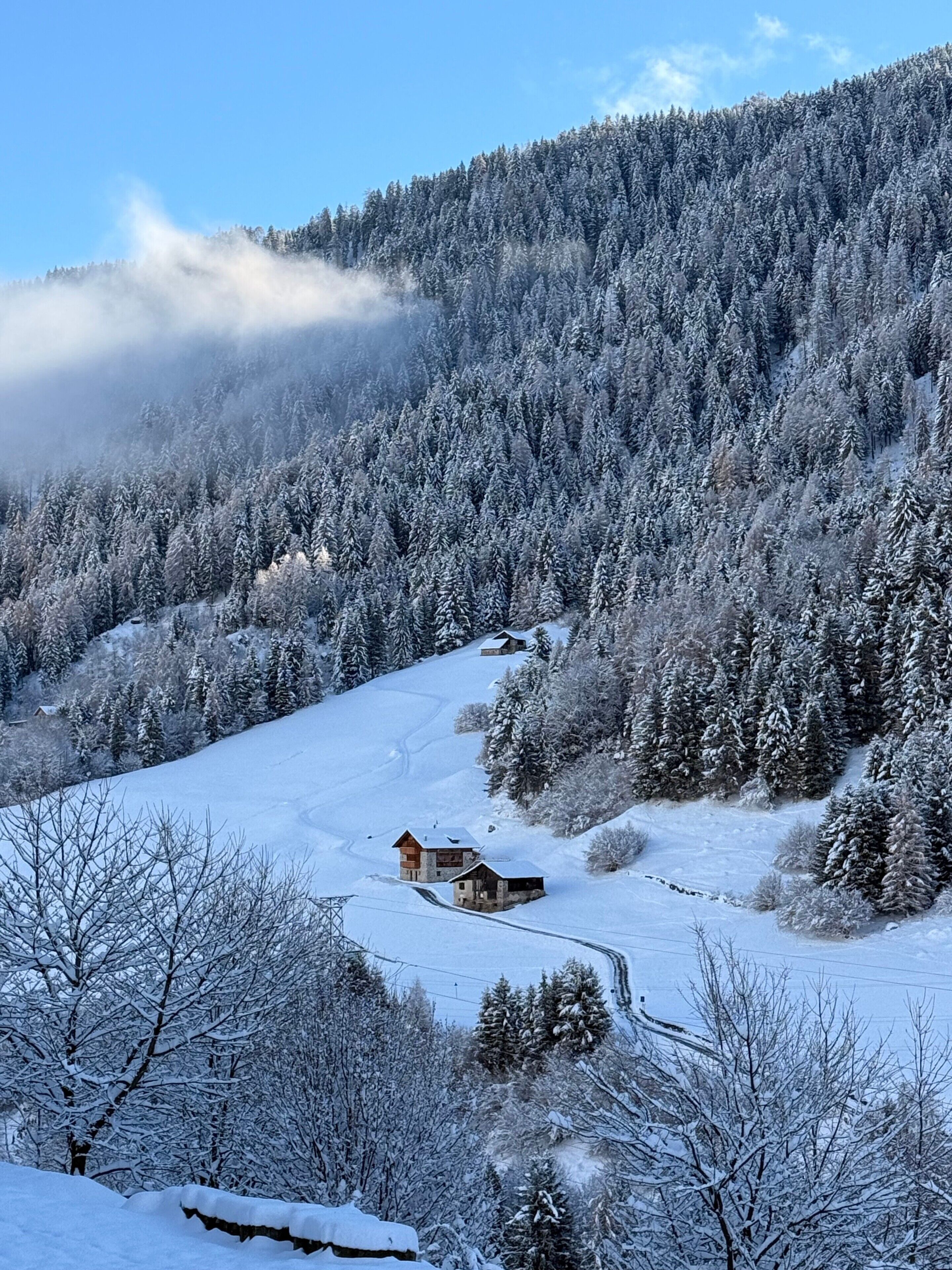 Un paysage enneigé avec une petite cabane et une forêt dense.
