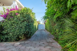A paved pathway flanked by dense greenery and a white building with a visible entrance. - Villa 'Ingrosso' with Sea View, Wi-Fi and Air Conditioning (Leporano Marina)
