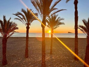 A beach with palm trees and the sun setting over the ocean.