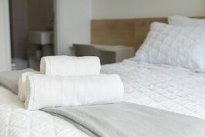 1 chambre