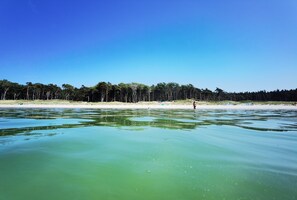 A calm body of water with a clear sky and a forested area in the background. - Apartment 'Ostseestrand' with Balcony, Wi-Fi and Air Conditioning (Prerow)