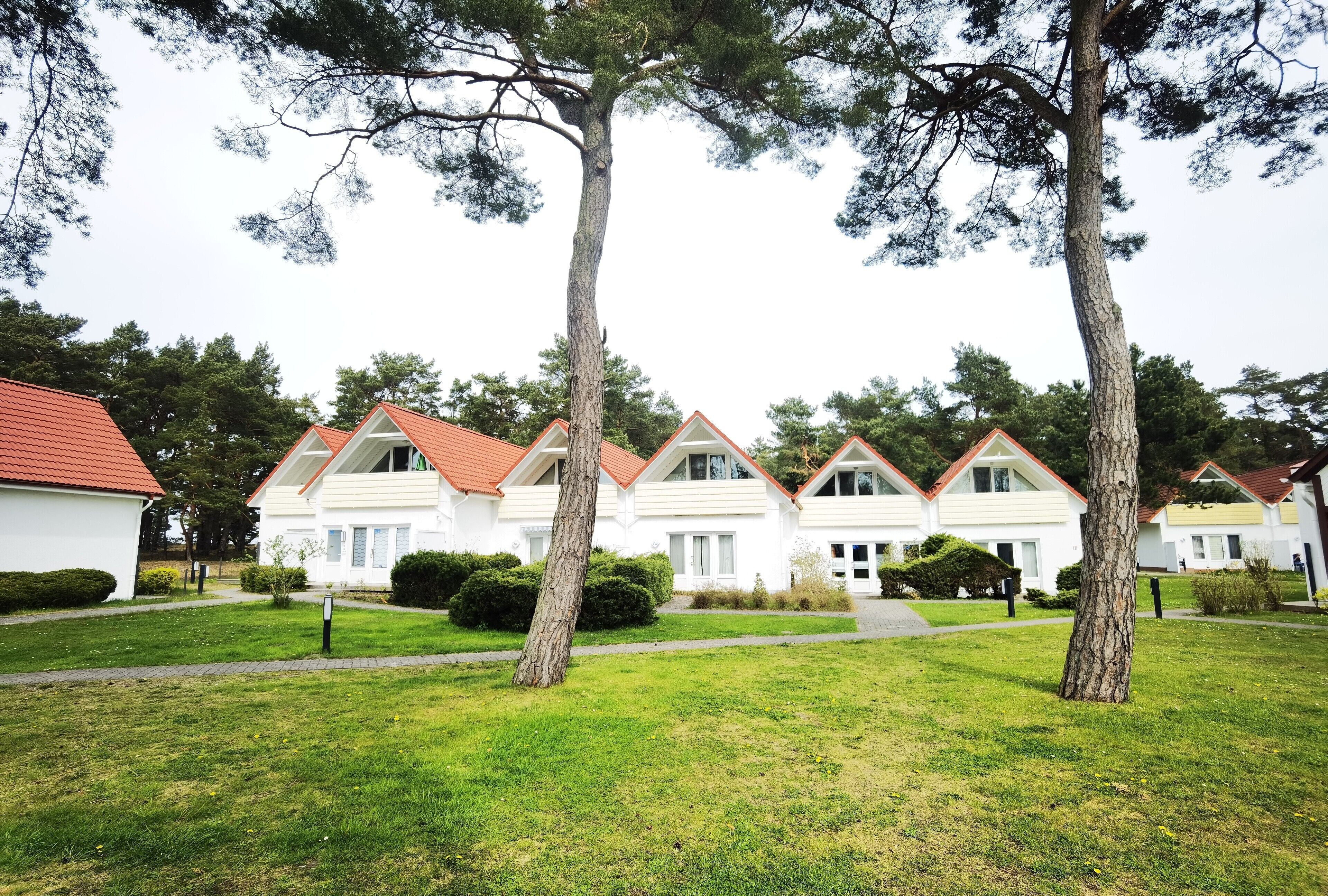 A row of white houses with red roofs, surrounded by green lawns and trees.